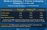 Impact of Bivalirudin and Paclitaxel-Eluting Stents on Outcomes in Patients Undergoing Primary PCI of the LAD