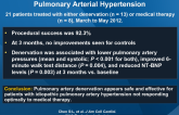 Pulmonary Artery Denervation to Treat Idiopathic Pulmonary Arterial Hypertension
