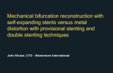 Mechanical Bifurcation Reconstruction with Self-Expanding Stents Versus Metal Distortion with Provisional Stenting and Double Stenting Techniques