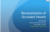 Recanalization of Occluded Vessels