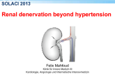 Renal Denervation Beyond Hypertension