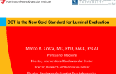 OCT is the New Gold Standard for Luminal Evaluation