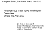 Percutaneous Mitral Valve Insufficiency Correction: Where We Are Now?