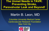 The Unmet Needs in TAVR: Preventing Stroke, Paravalvular Leak and Beyond!