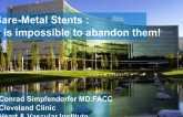 Bare-Metal Stents: It Is Impossible to Abandon Them!