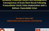Incidence, Predictive Factors and Hemodynamic Consequences of Acute Stent Recoil Following Transcatheter Aortic Valve Implantation with a Balloon-Expandable Valve