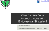 What Can We Do for Ascending Aorta With Endovascular Strategies?
