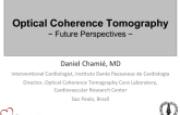 Optical Coherence Tomography: Future Perspectives