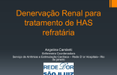 Denervação Renal para Tratamento de HAS Refratária