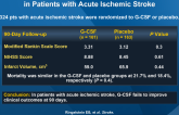 Granulocyte Colony-Stimulating Factor (G-CSF) in Patients with Acute Ischemic Stroke