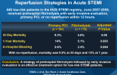 Outcome Up to 1 Year Following Different Reperfusion Strategies in Acute STEMI