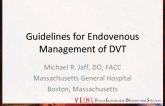 Guidelines for Endovenous Management of DVT