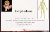 Lymphedema