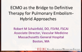 ECMO as the Bridge to Definitive Therapy for Pulmonary Embolism-Hybrid Approaches