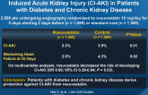 Short-term Rosuvastatin for Prevention of Contrast-Induced Acute Kidney Injury (CI-AKI) in Patients with Diabetes and Chronic Kidney Disease