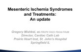 Mesenteric Ischemia Syndromes and Treatments: An Update