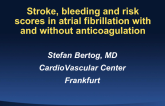 Stroke, Bleeding and Risk Scores in Atrial Fibrillation (with and without Anticoagulation)