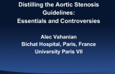 Distilling the Aortic Stenosis Guidelines (Synthesis of ESC and ACC/AHA): Essentials and Controversies
