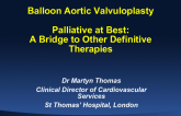 Palliative at Best: A Bridge to Other Definitive Therapies