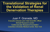 Translational Strategies for the Validation of RDN Therapies