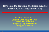Cardiologists Perspective: How I use the Anatomical and Hemodynamic Data in Clinical Decision-Making