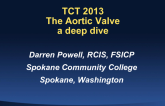 Fundamental Knowledge: Aortic Valve Anatomy, Function, and Relational Pathology