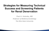 Strategies for Measuring Technical Success to Facilitate Ideal Patient Selection in Renal Denervation