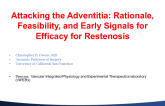 Attacking the Adventitia: Rationale, Feasibility, and Early Signals of Efficacy for Restenosis