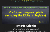 Cre8 Stent Program Update (including the Diabetic Registry)