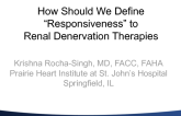 How We Should Define "Responsiveness" to Renal Denervation Therapies