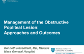 Managing the Obstructive Popliteal Lesion: Approaches and Outcomes
