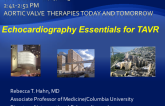 Echocardiography Essentials for TAVR