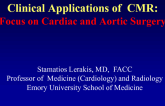Clinical Applications of CMR