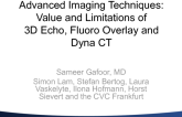Advanced Imaging Techniques: Value and Limitations of 3D Echo, Fluoro Overlay and Dyna CT
