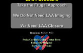 Take the Frugal Approach - We Do Not Need LAA Imaging, We Need LAA Closure!