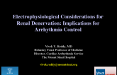 Electrophysiological Considerations for Renal Denervation: Implications for Arrhythmia Control