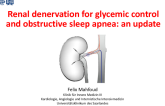 Renal Denervation for Glycemic Control and Obstructive Sleep Apnea: An Update