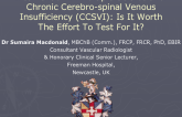 Intervention in Multiple Sclerosis for Chronic Cerebral Spinal Venous Insufficiency (CCSVI): Is It Worth the Effort Involved to Test It?