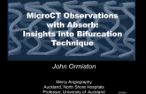 Micro-CT Observations with ABSORB: Insights into Bifurcation Technique