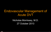 Current "Best Practices" in Interventional DVT Management