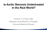 Is Aortic Stenosis Undertreated in the Real World?  Epidemiologic, Socioeconomic, and Disease Awareness Issues