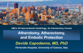 Atherotomy, Atherectomy, and Embolic Protection