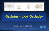 Occlutech