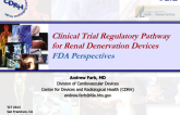 FDA Perspectives: Clinical Trial Regulatory Pathway for Renal Denervation Devices