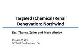 Chemical Ablation for Renal Denervation (Northwind Technologies)