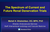 The Spectrum of Current and Future Renal Denervation Clinical Trials