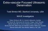 Extra-vascular Focused Ultrasonic Denervation (Kona Medical)