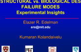 Structural vs. Biologic DES Failure Modes: Experimental Insights