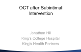 OCT after Subintimal Intervention