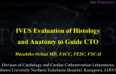 IVUS Evaluation of Histology and Anatomy to Guide PCI: From Basic to Advanced